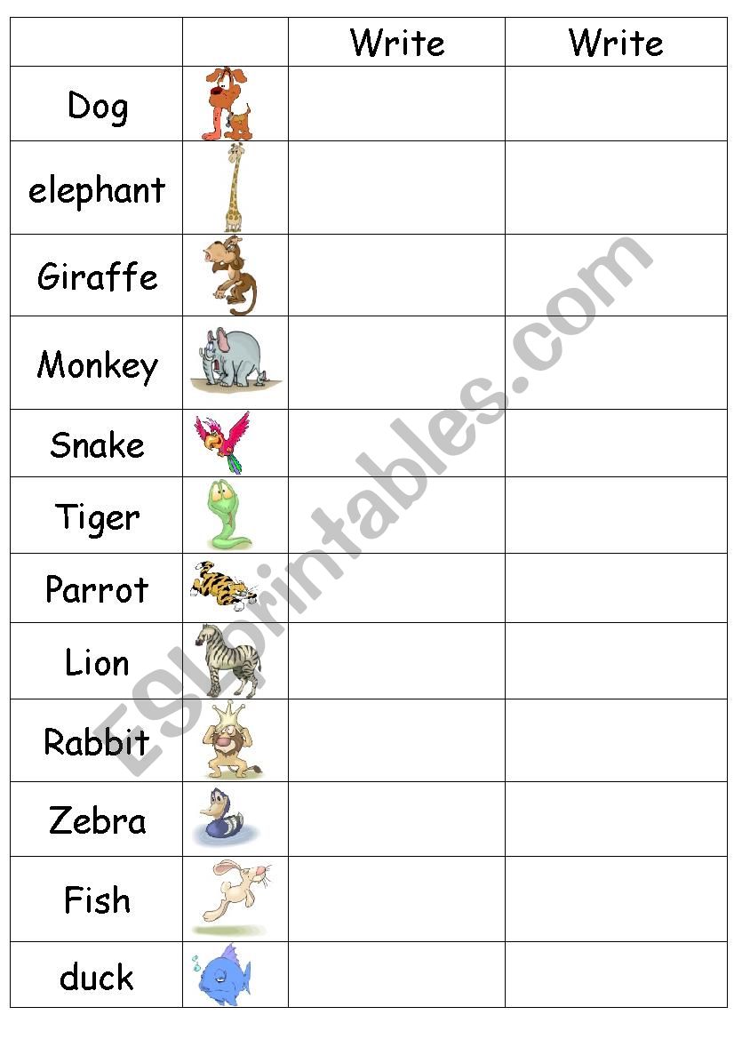 animals worksheet