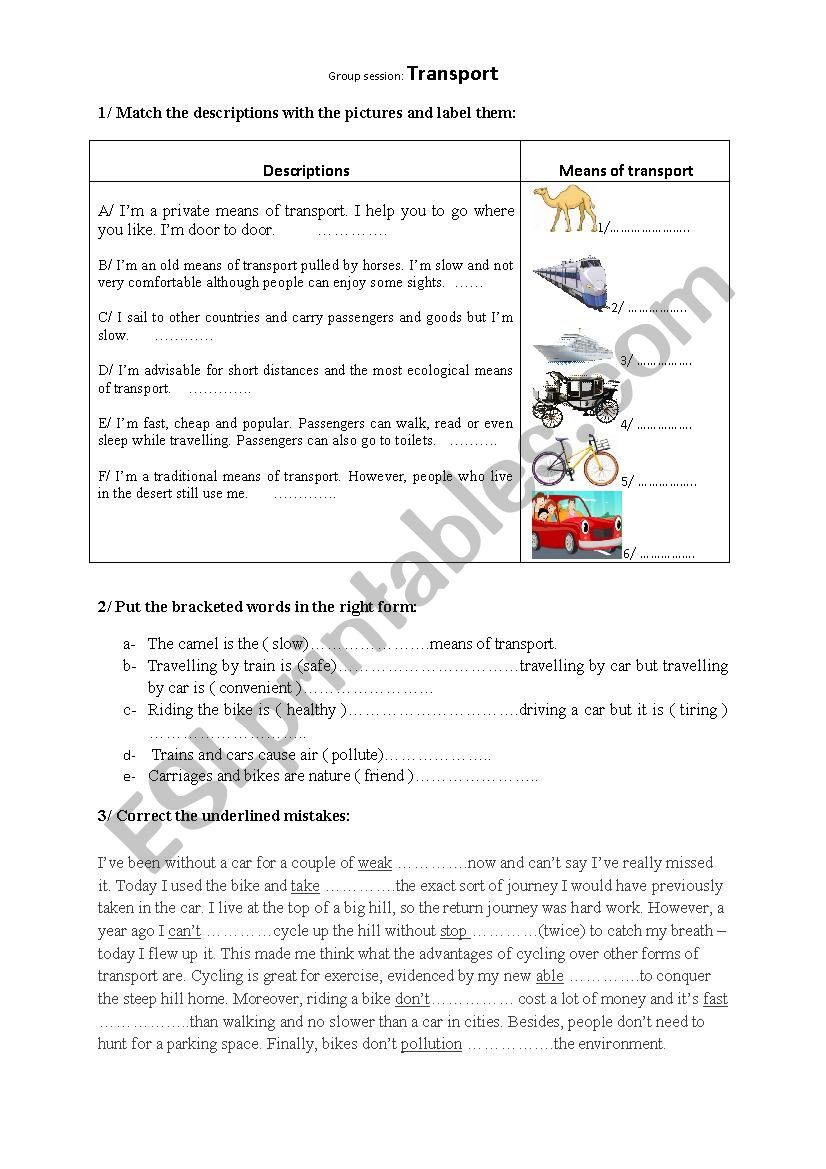 group sessio Transport worksheet