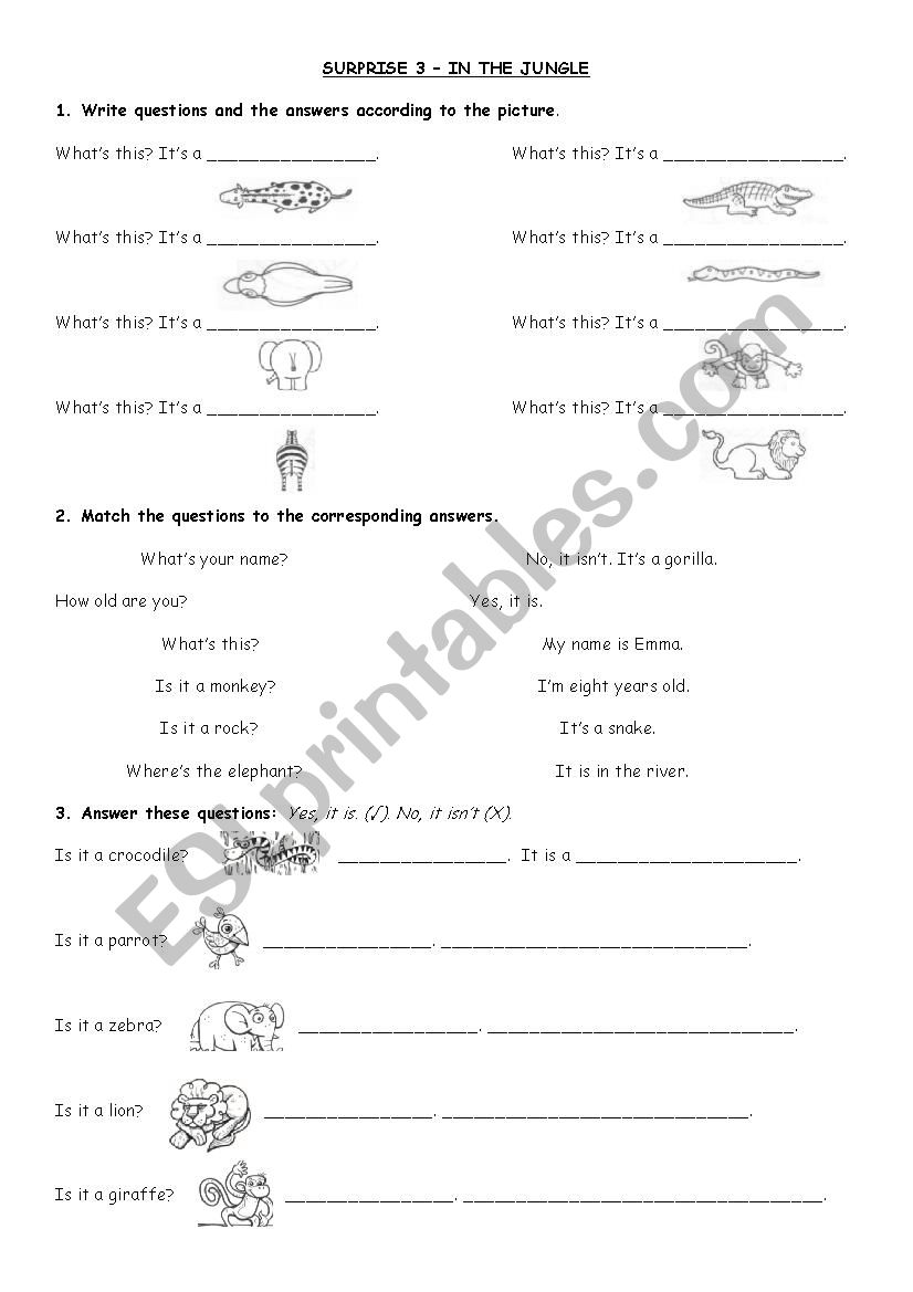 in the jungle worksheet