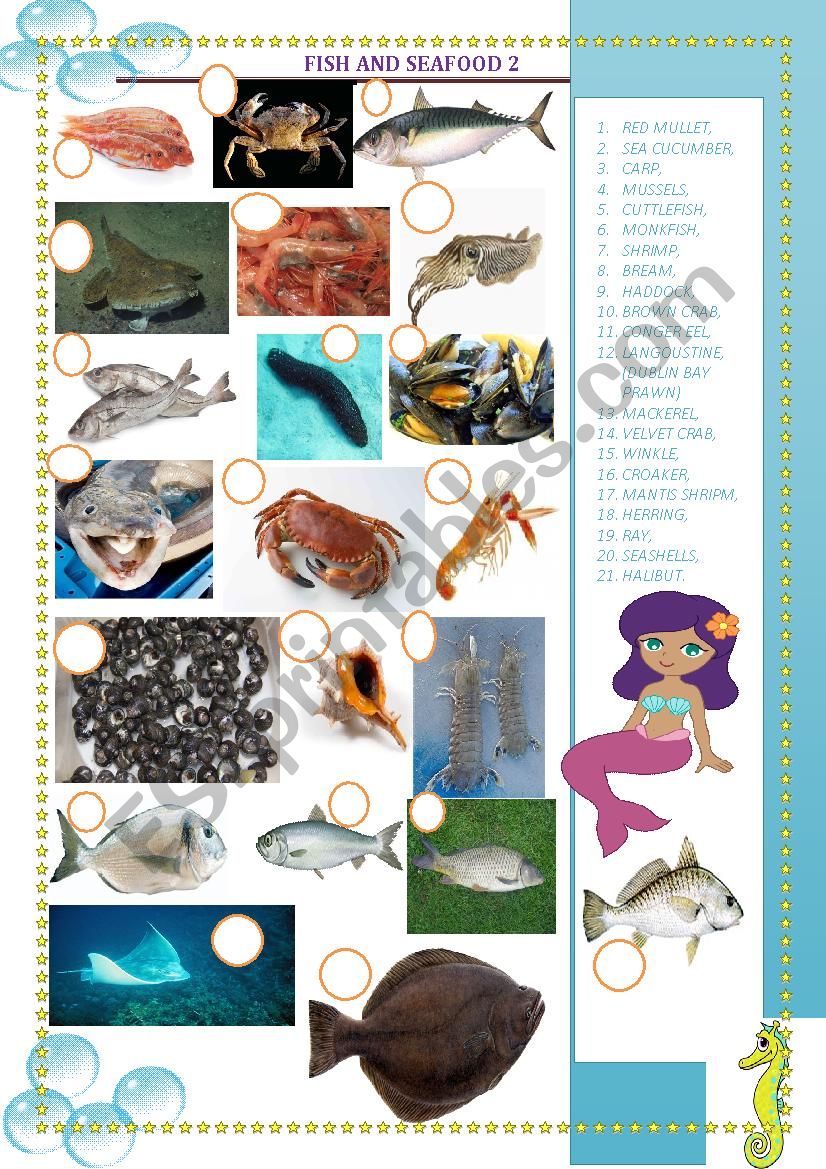fish and seafood 2 worksheet