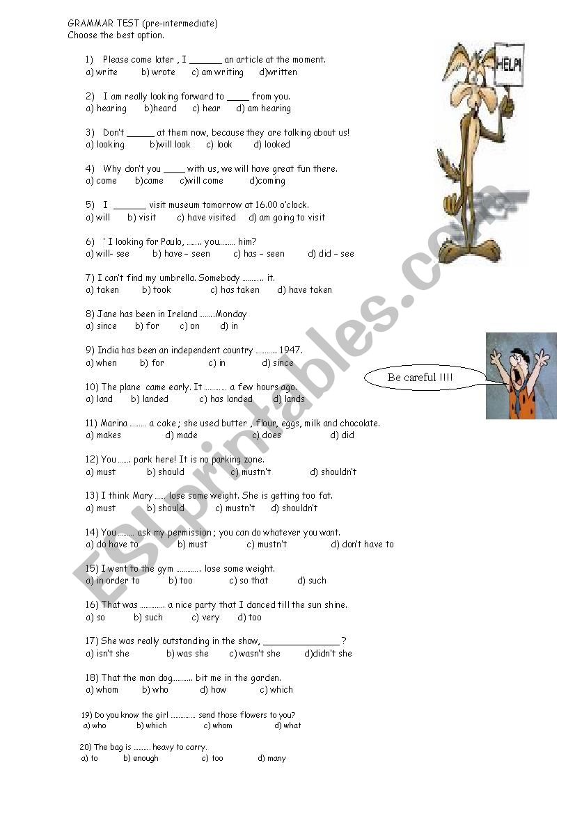 Multiple Choice Grammar items worksheet