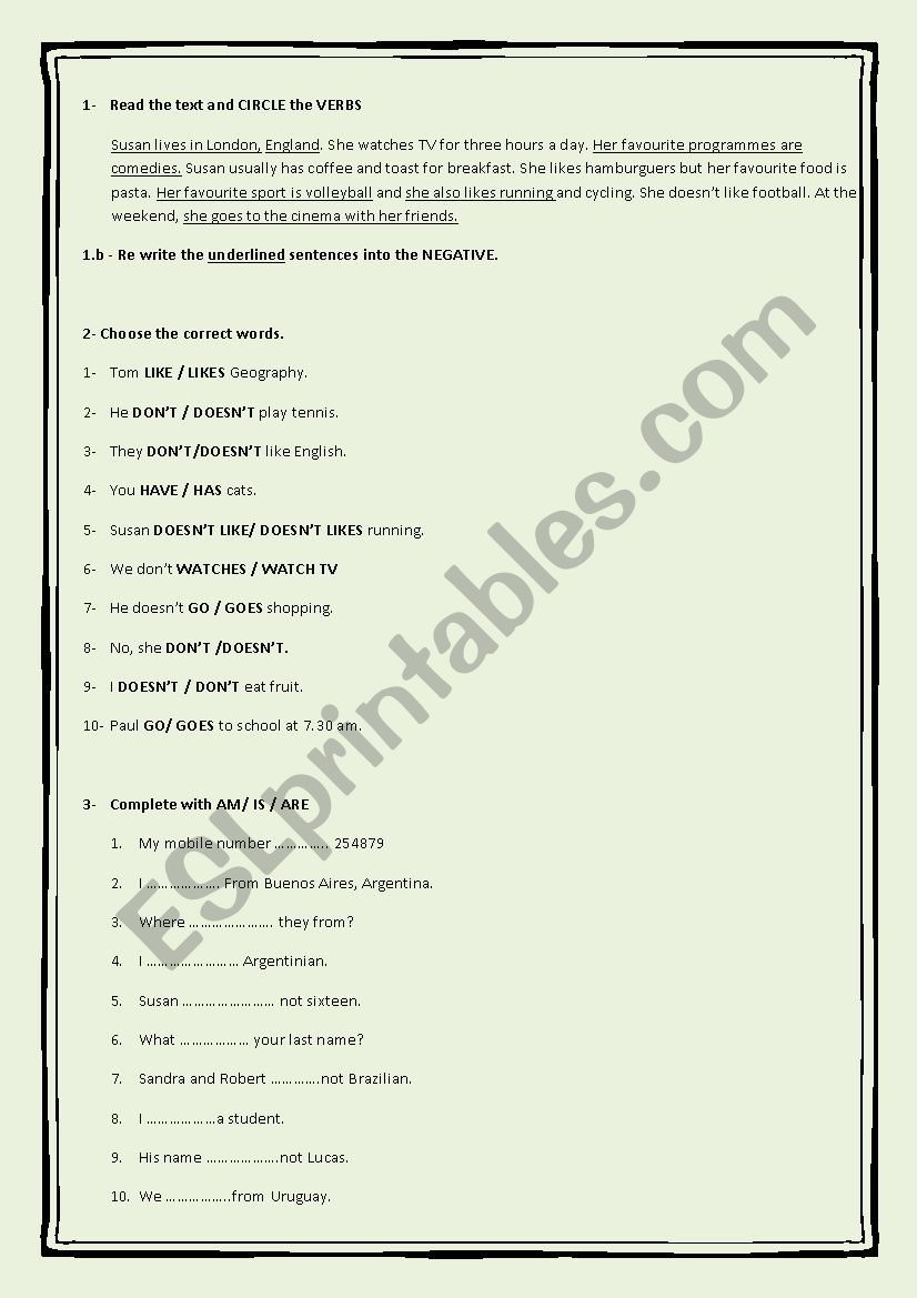 Present Simple Beginners worksheet