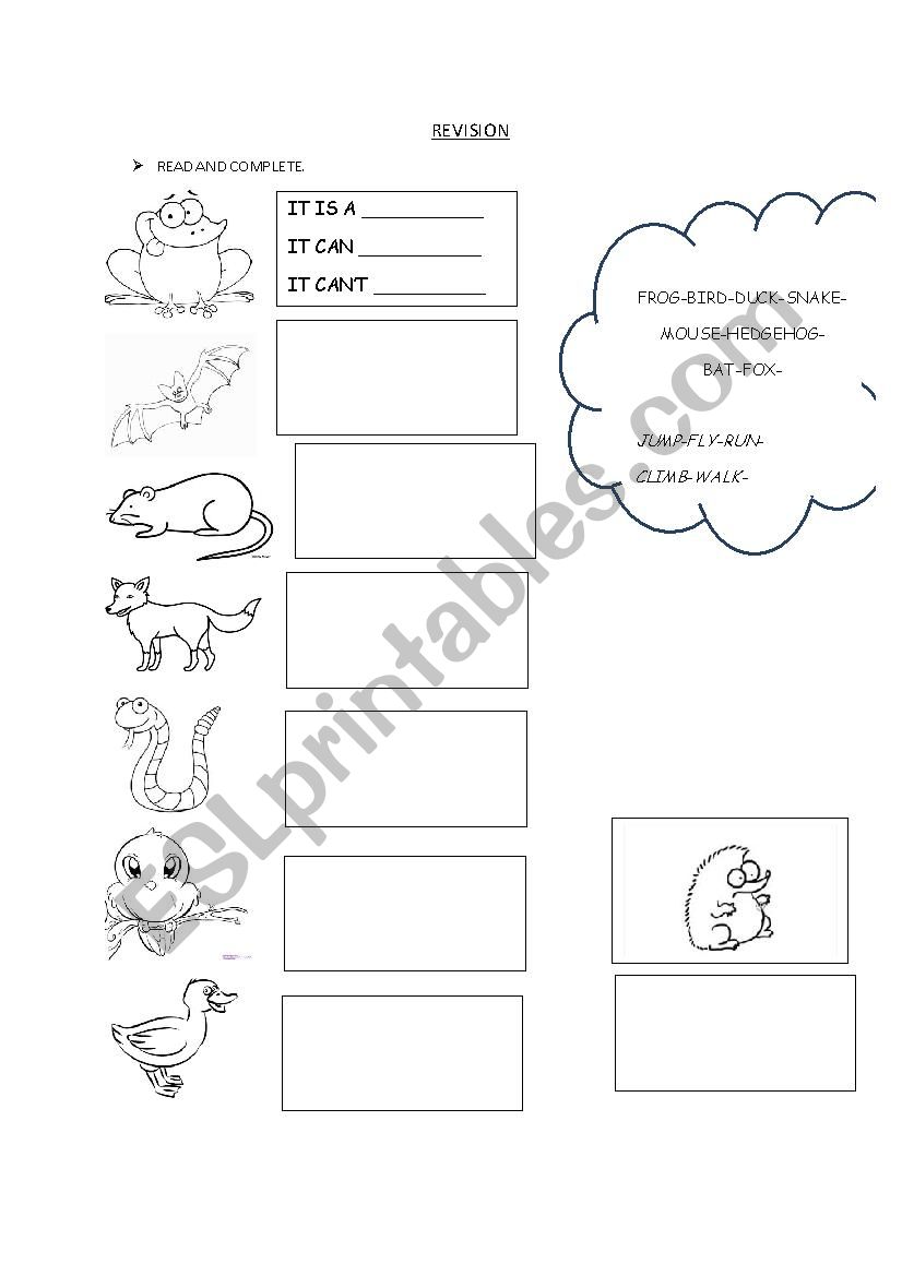 ANIMALS IN THE GARDEN worksheet