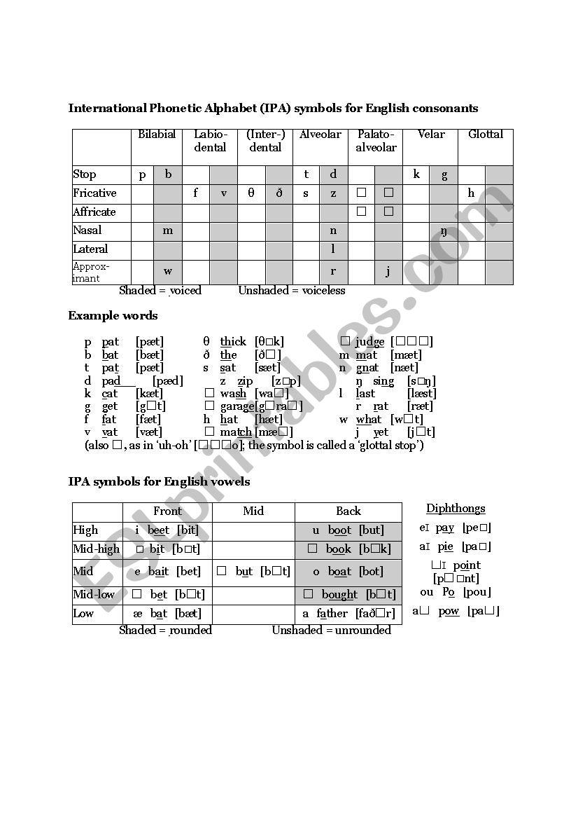 daily  apa worksheet