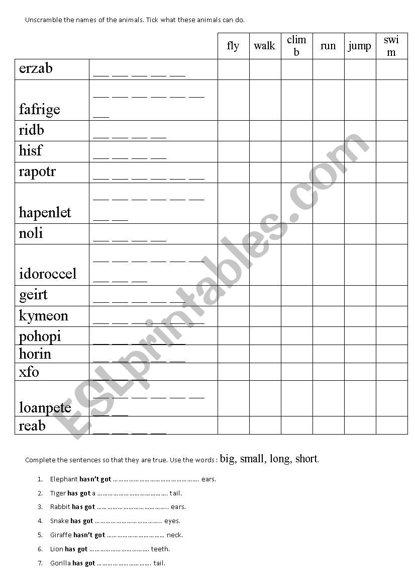 Animals worksheet worksheet