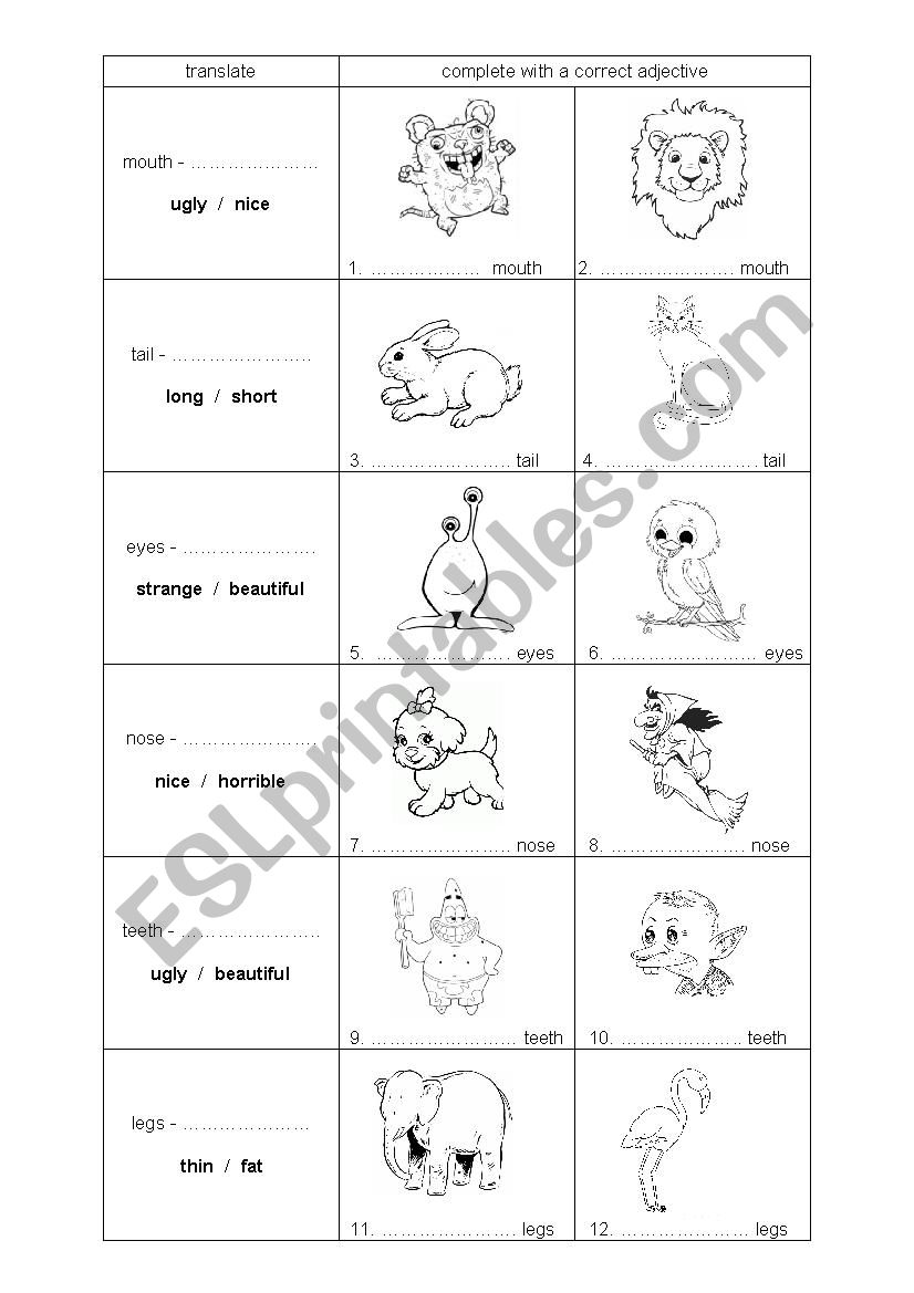 Body parts adjectives worksheet
