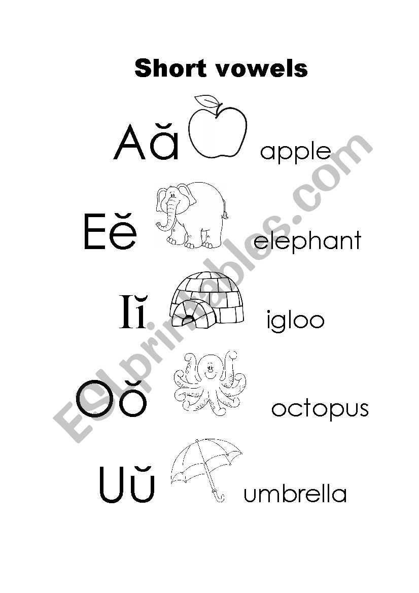 Short Vowels worksheet