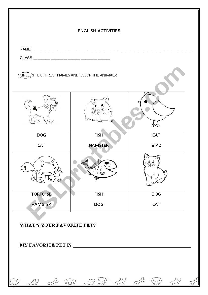 Pets worksheet