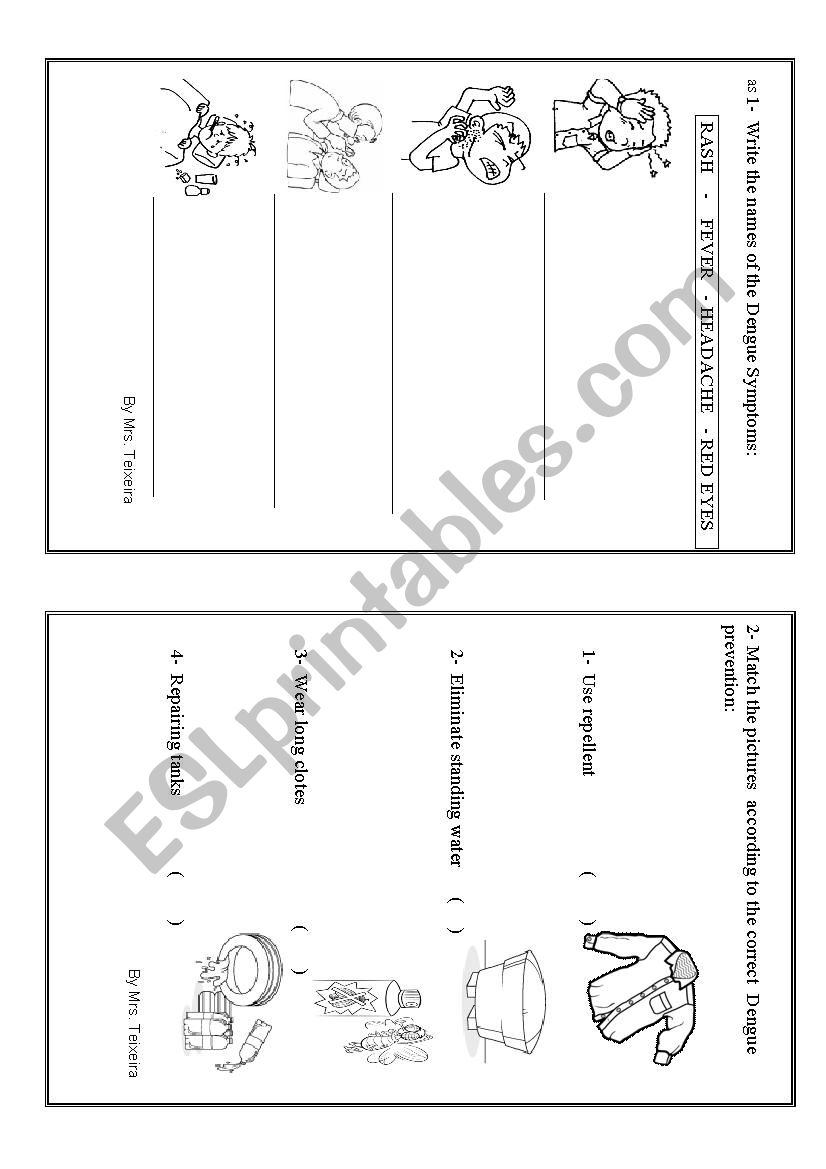 dengue fever worksheet