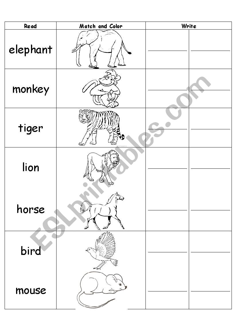 animals worksheet