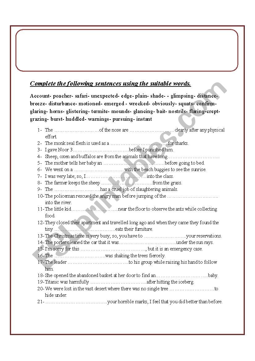 vocabulay test  worksheet