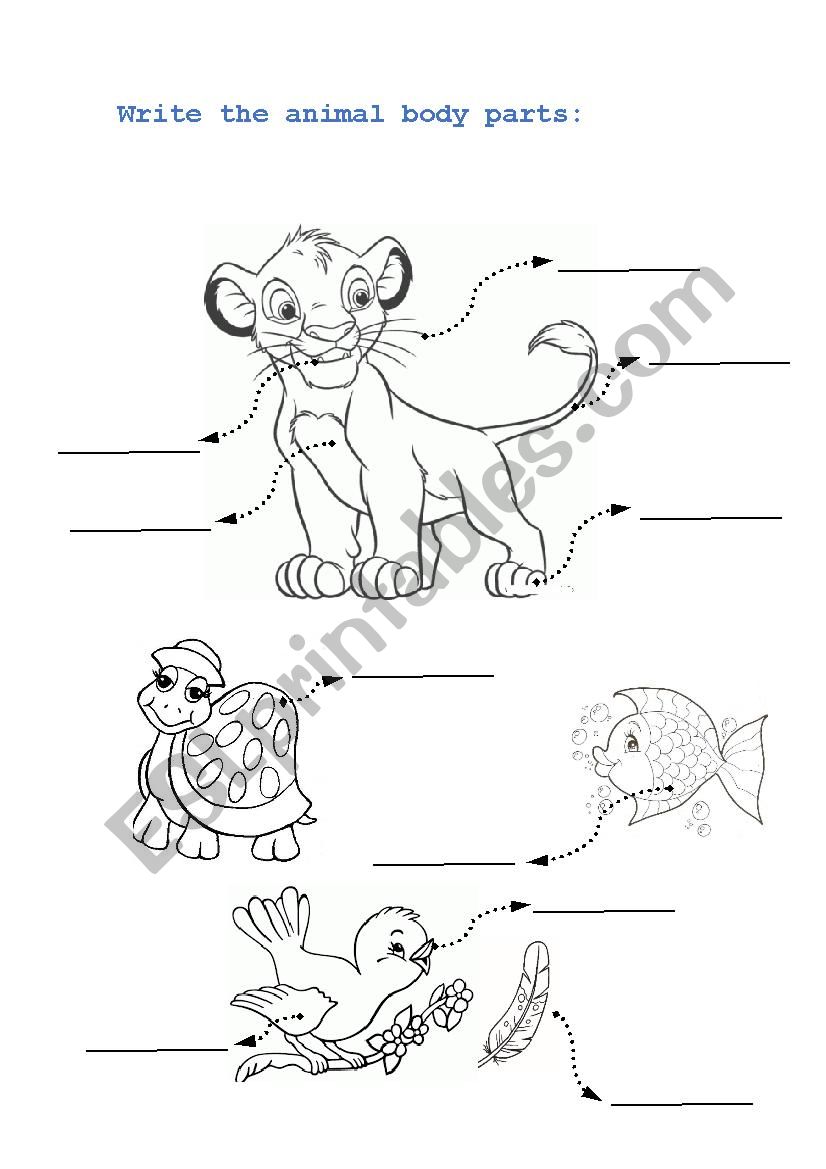 Animal Body Part worksheet