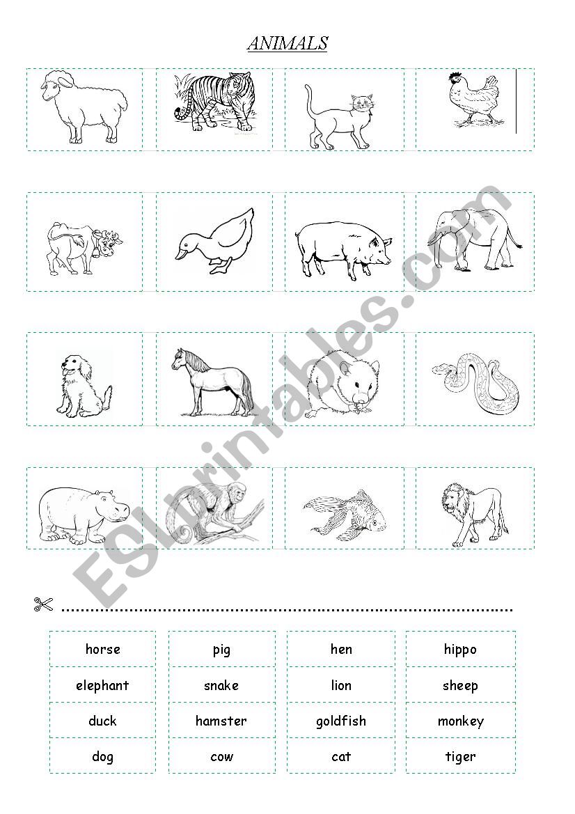 animals sorting out worksheet