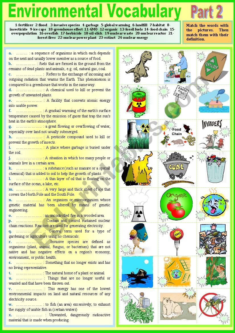 Voca - Environmental Vocabulary. Part 2. Pictionary + matching definitions + KEY