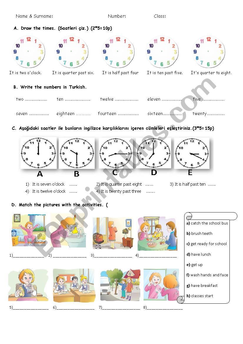 general revision worksheet