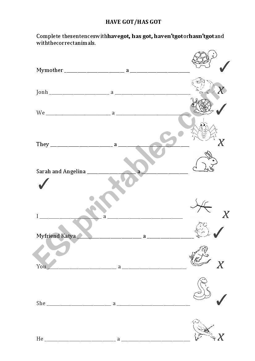 HAVE GOT - HAS GOT worksheet