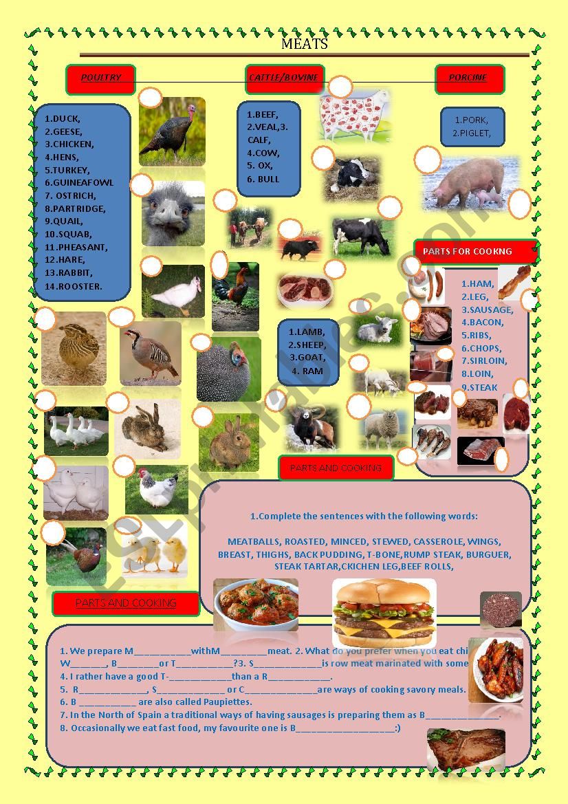 Meat worksheet