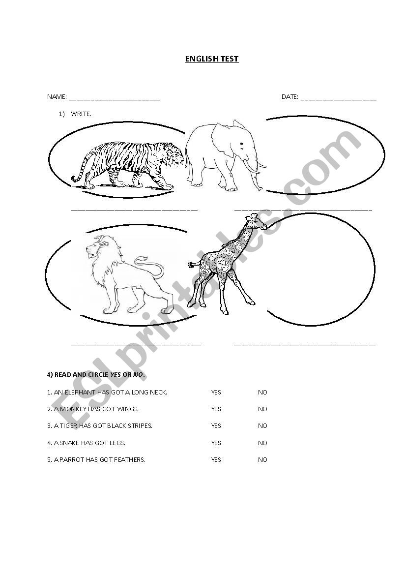 WILD ANIMALS TEST worksheet