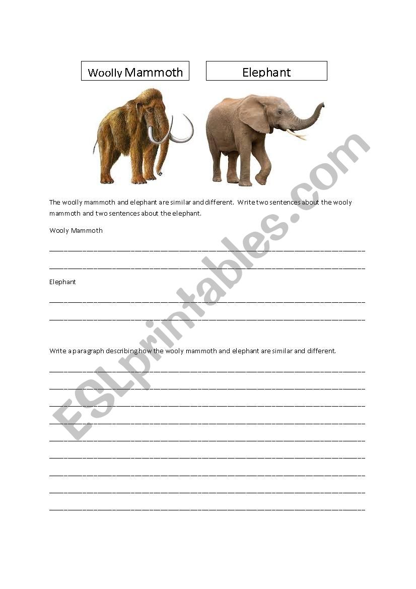Compare & Contrast Writing worksheet