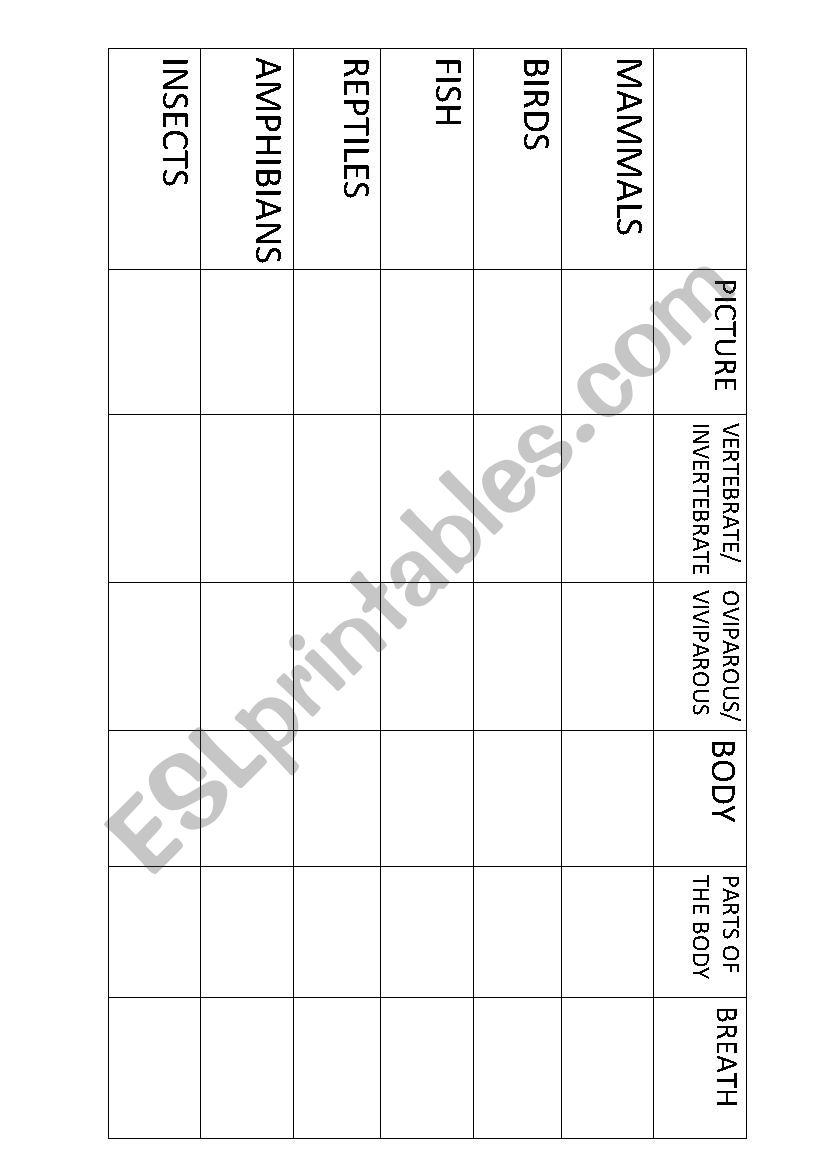 ANIMALS CHART worksheet