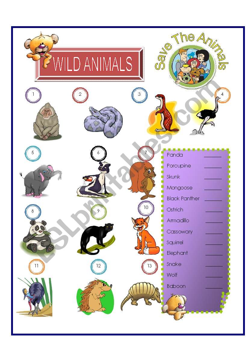 Wild Animals - Match Part -2 worksheet