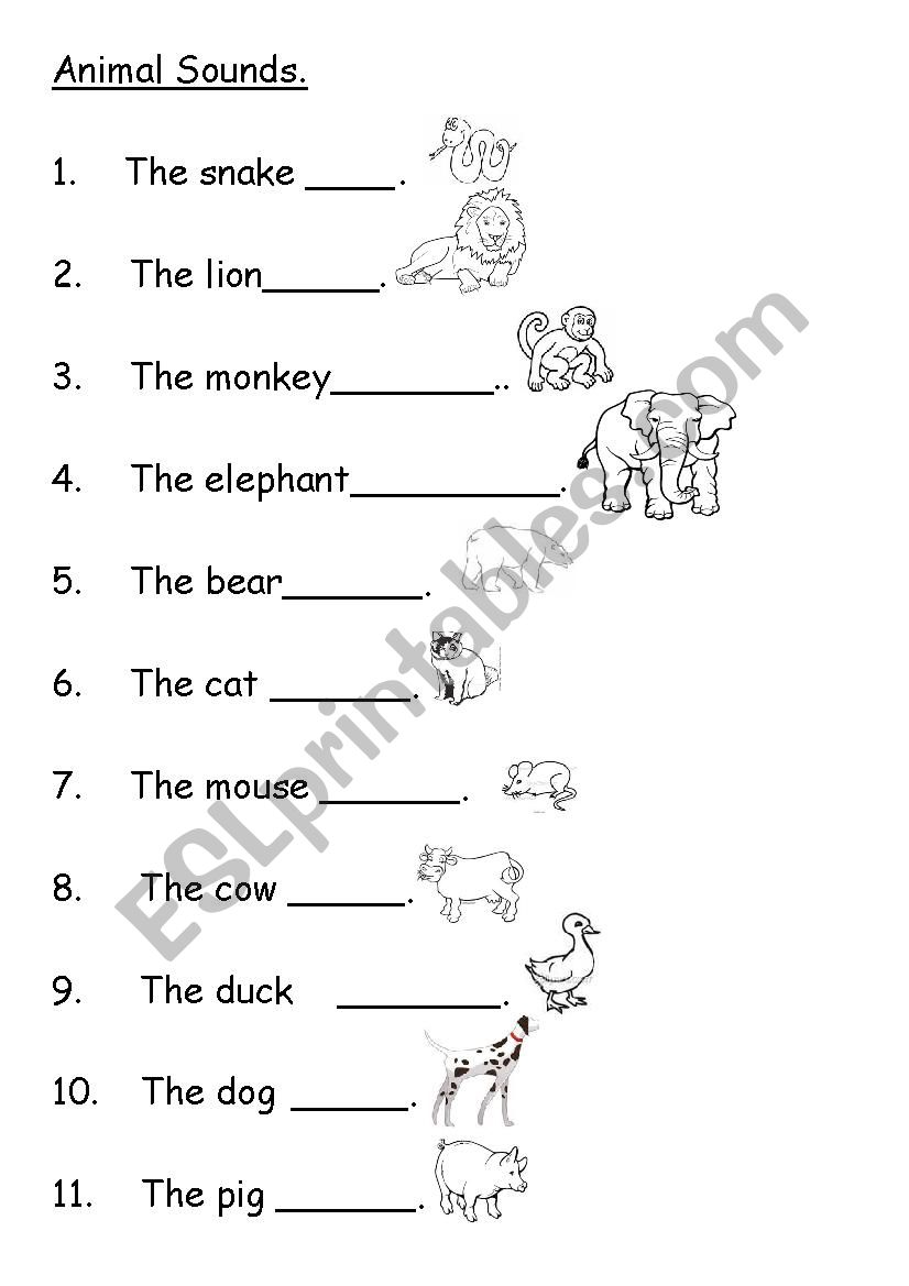 Animal sounds vocabulary worksheet