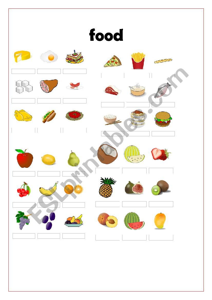 food worksheet