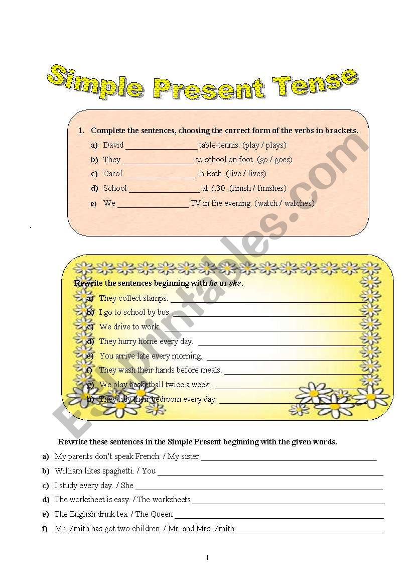 Simple Present  Tense worksheet