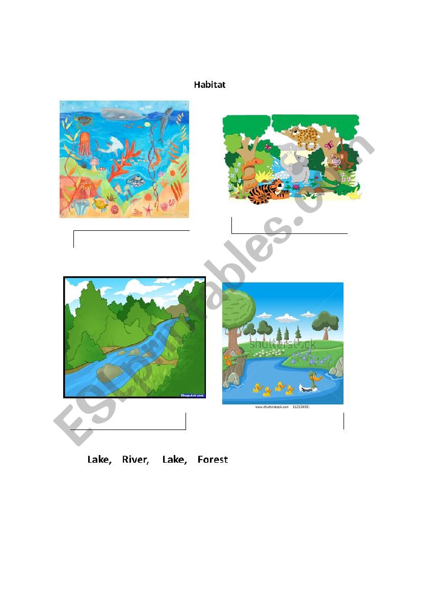 Habitat worksheet