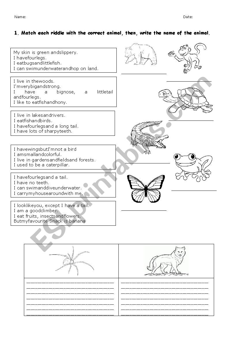 Animal riddles worksheet