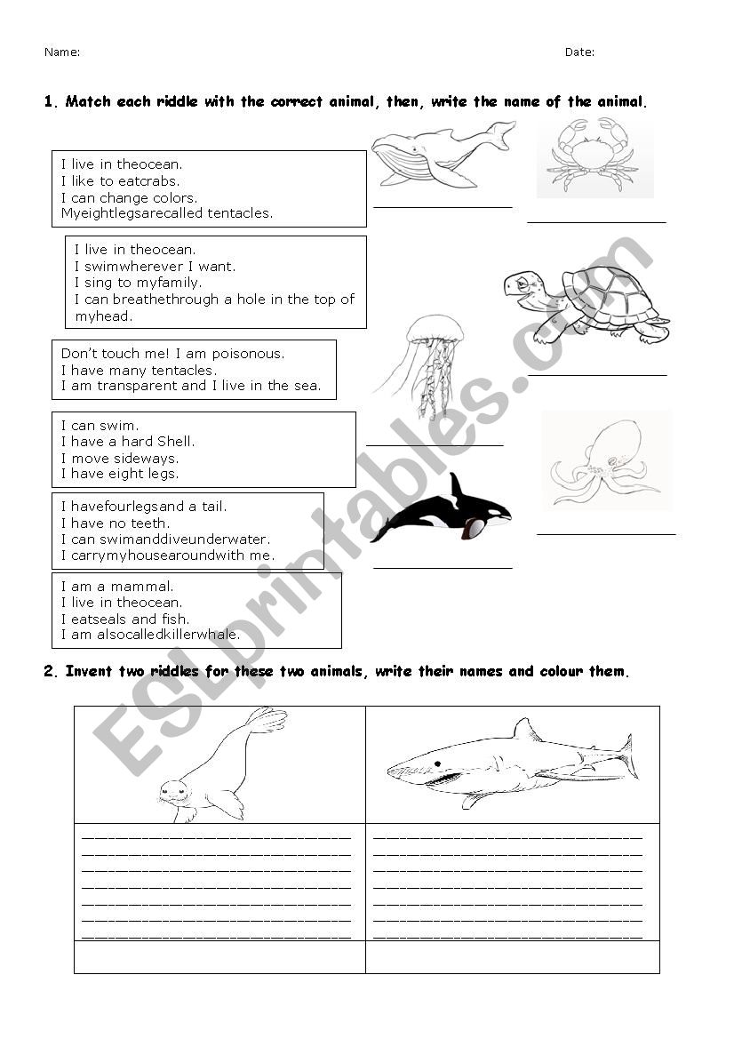 Animal riddles 2 worksheet