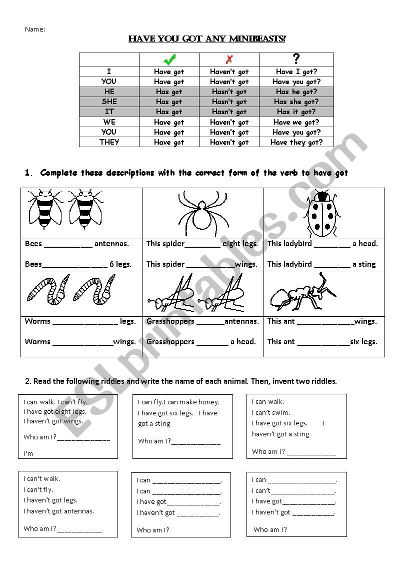 Have got and insects worksheet