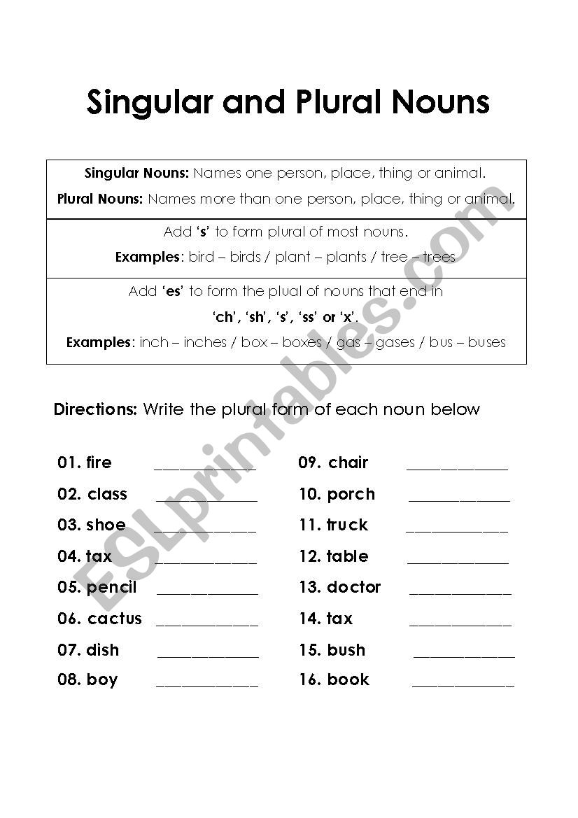 Singular and Plural worksheet