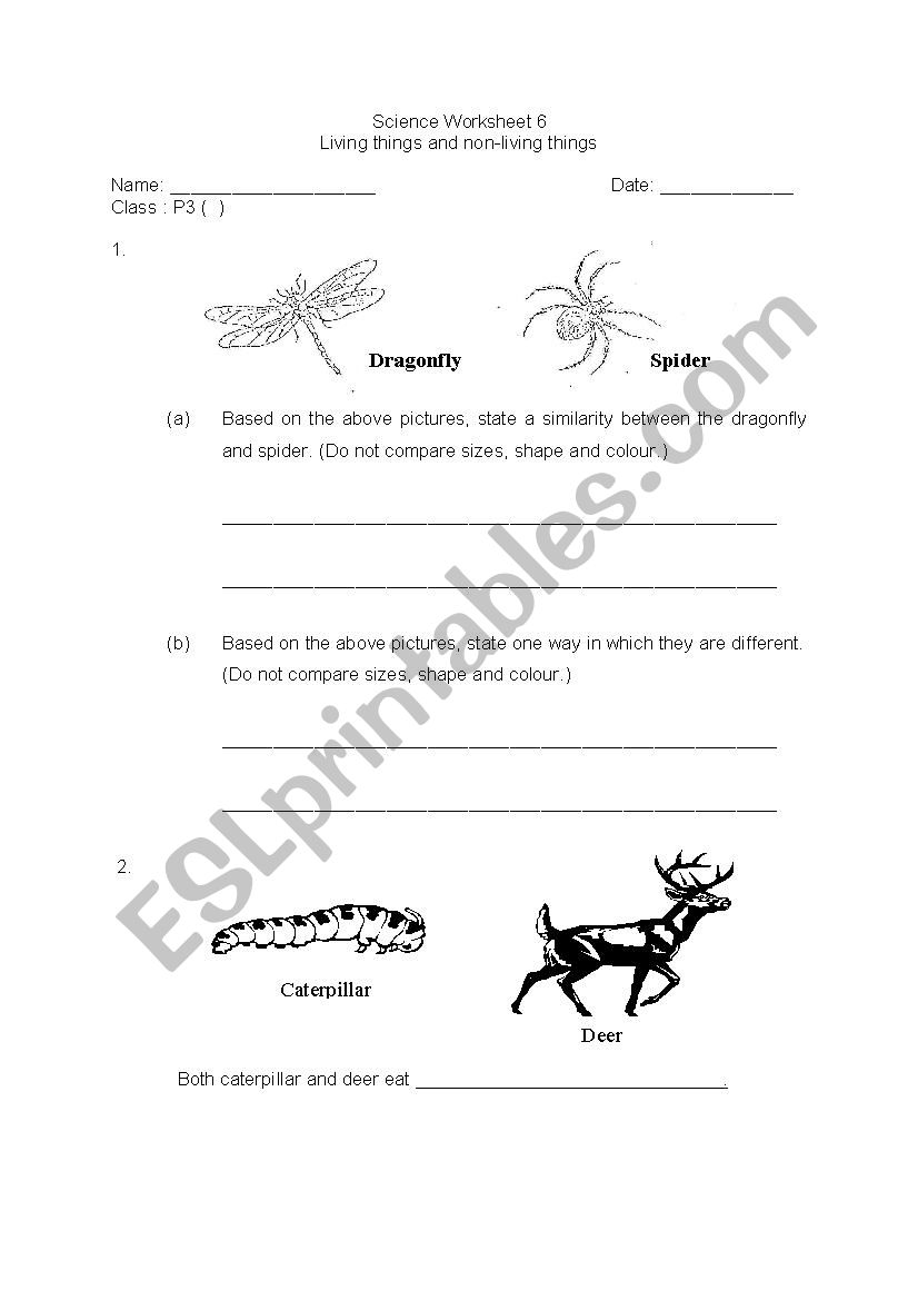 living and non-living things  worksheet