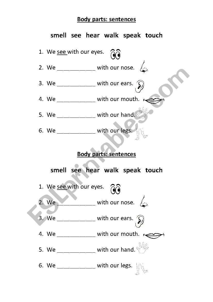 Body Parts: sentences - ESL worksheet by sallygissy Throughout Parts Of A Sentence Worksheet