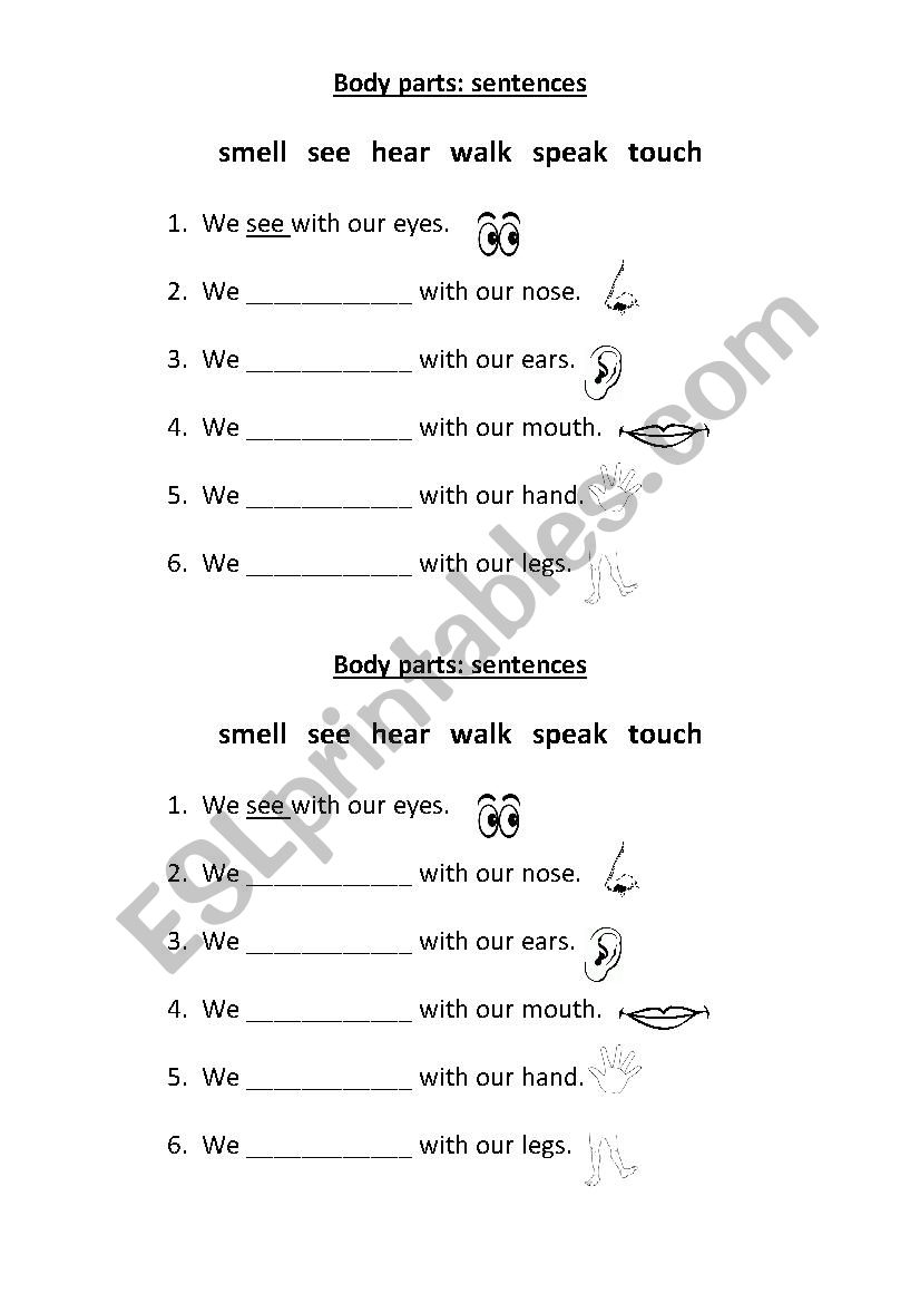 Body Parts: sentences worksheet