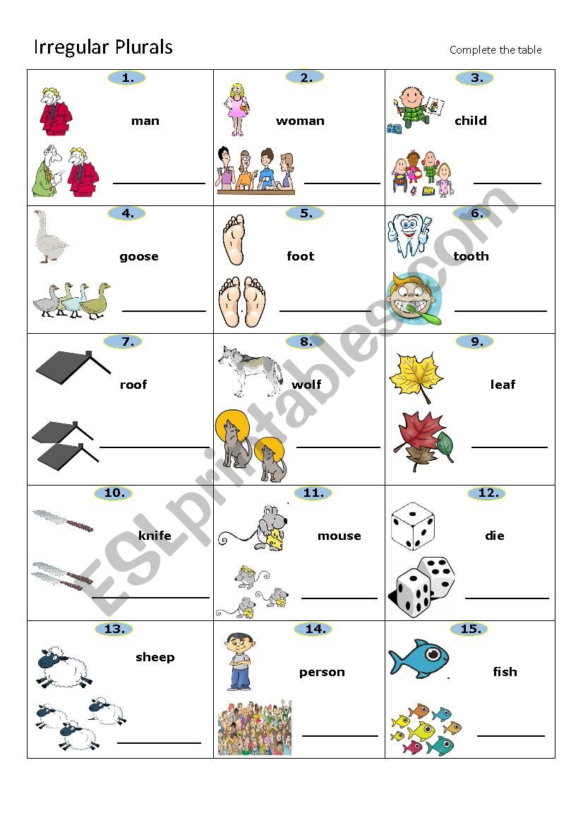 Irregular Plurals 2 worksheet