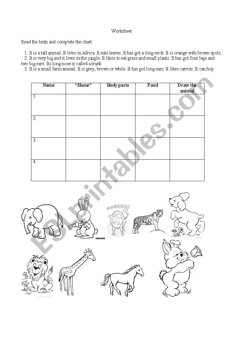 Animals worksheet