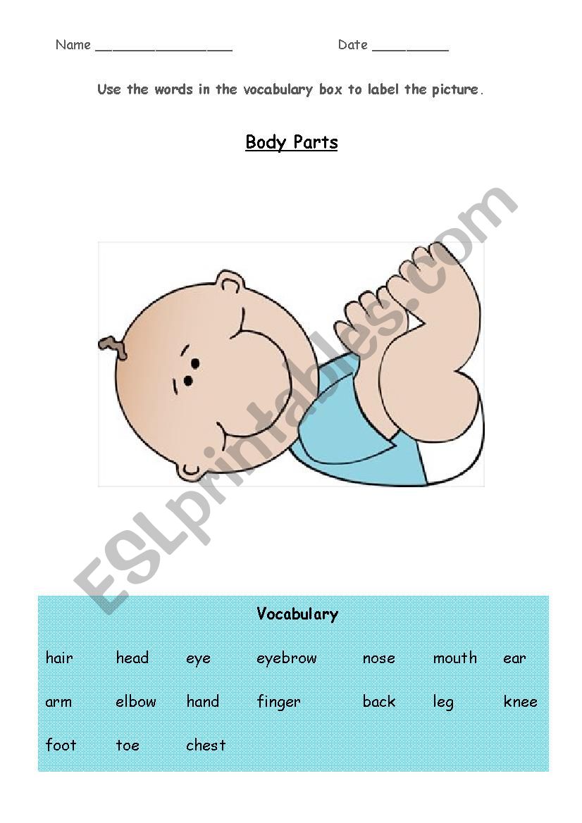 Body Parts - label the baby worksheet