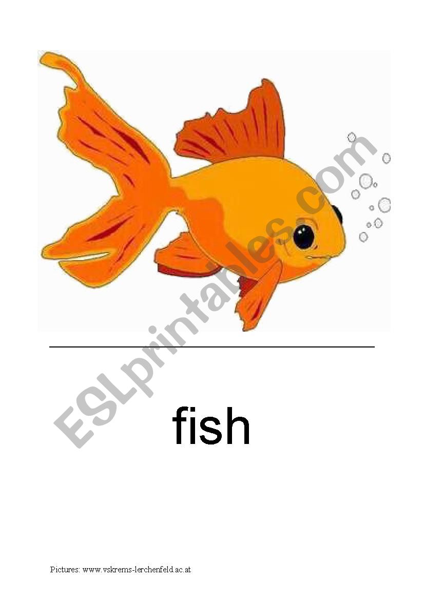 animals worksheet