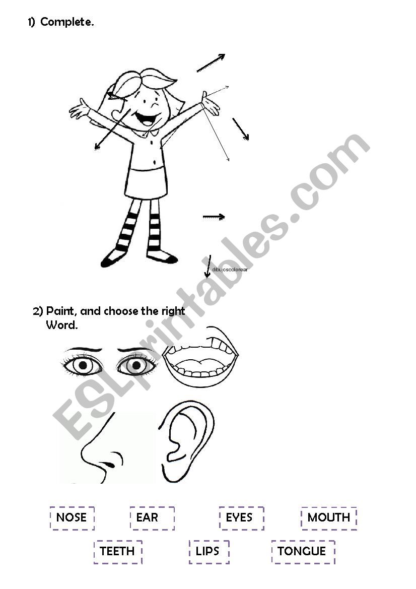 Body Parts worksheet