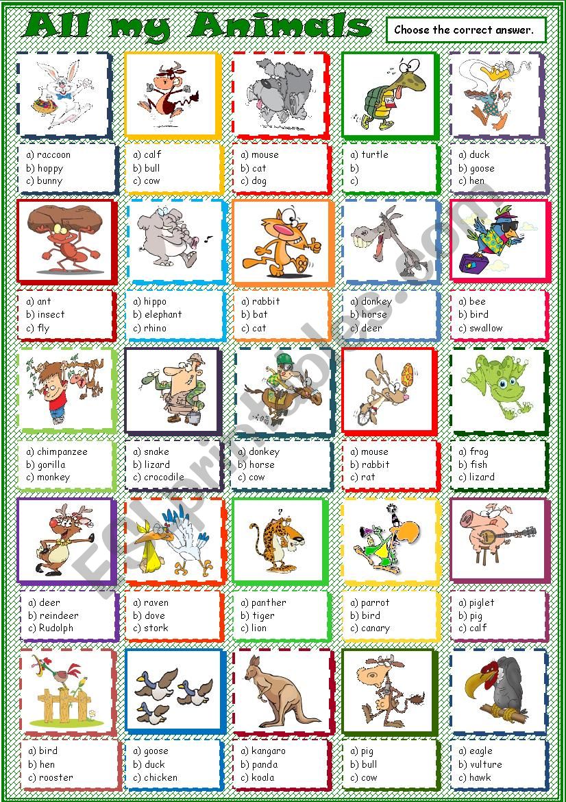 All my Animals * for beginners