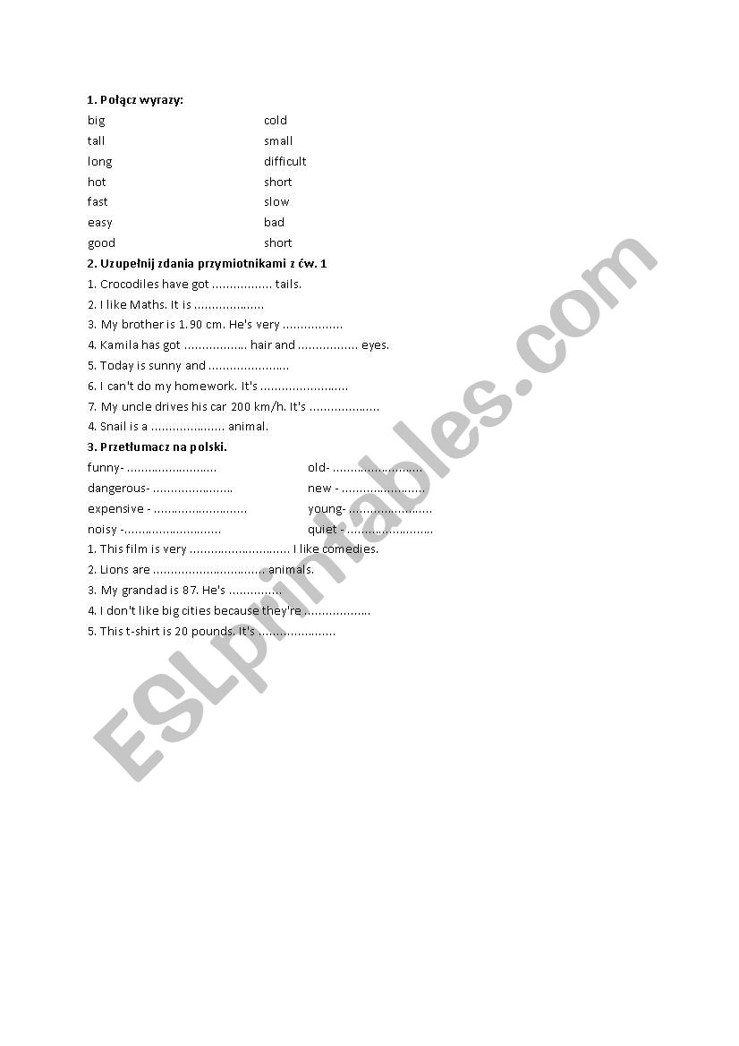 opposite adjectives worksheet