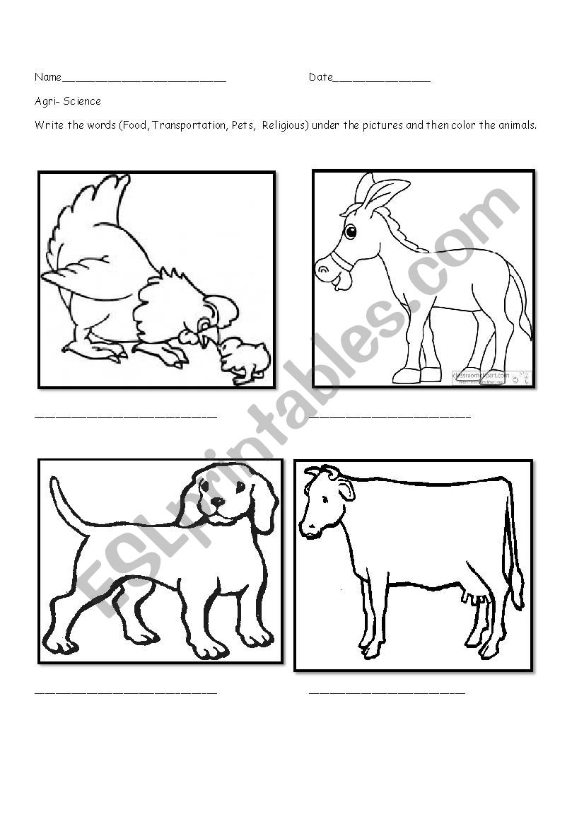 Agri- Science  worksheet