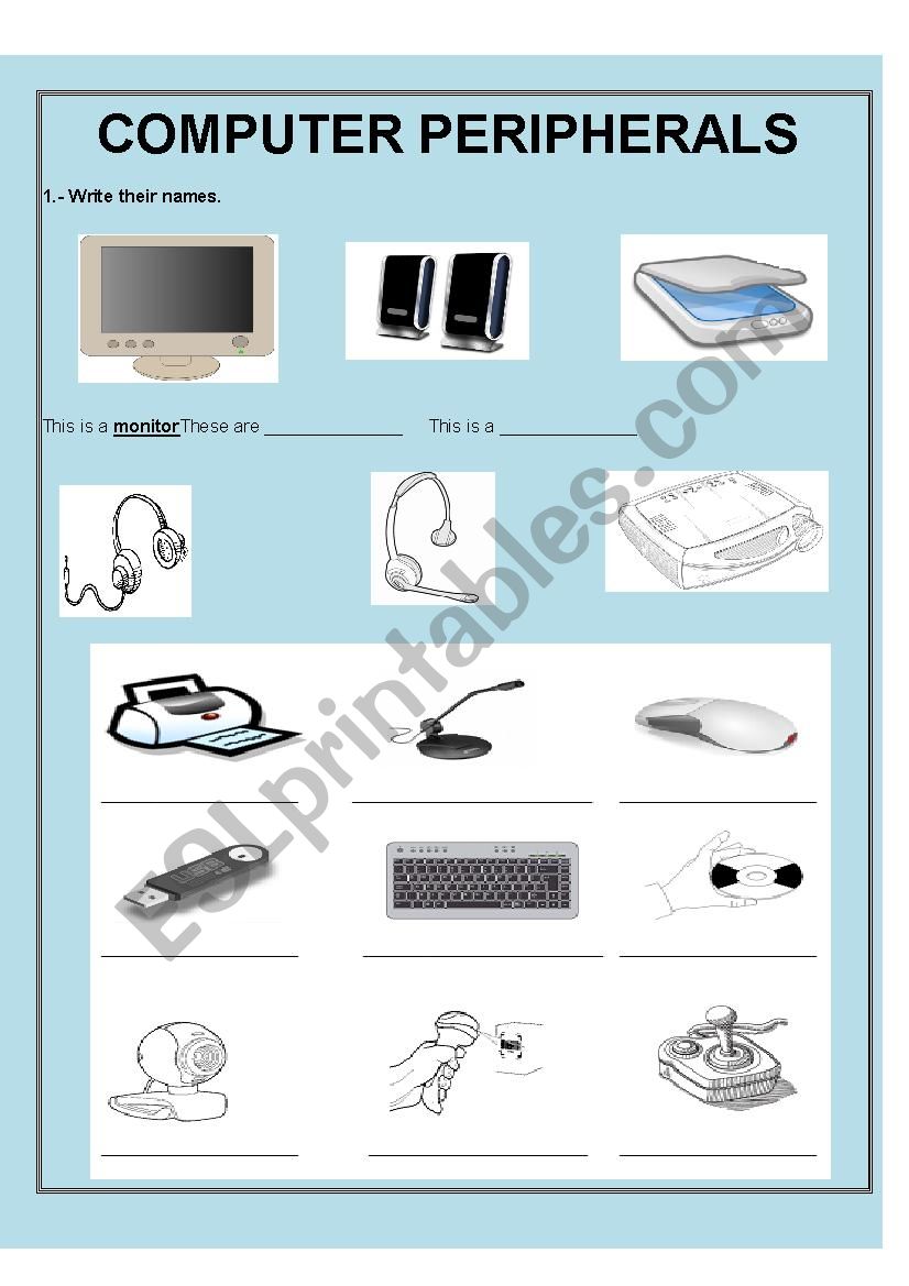 computer peripherals worksheet