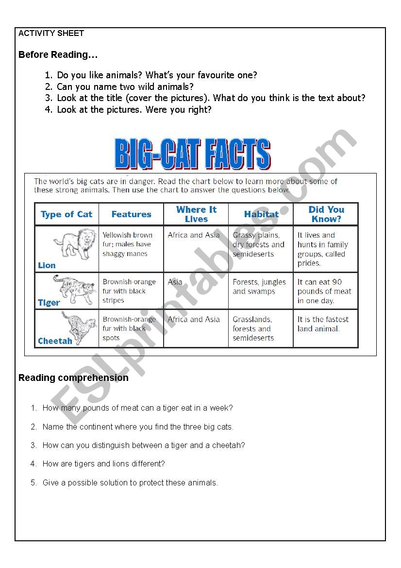 BIG-CATS FACTS worksheet