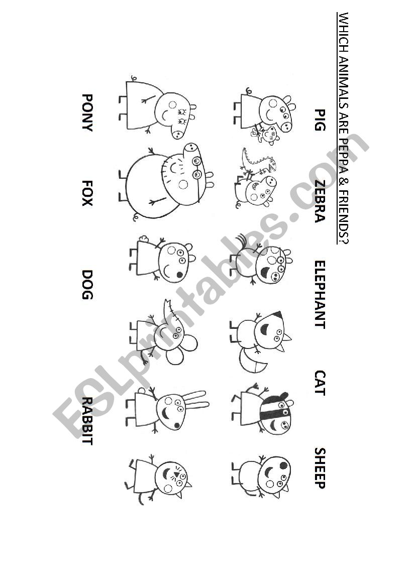 ANIMALS worksheet