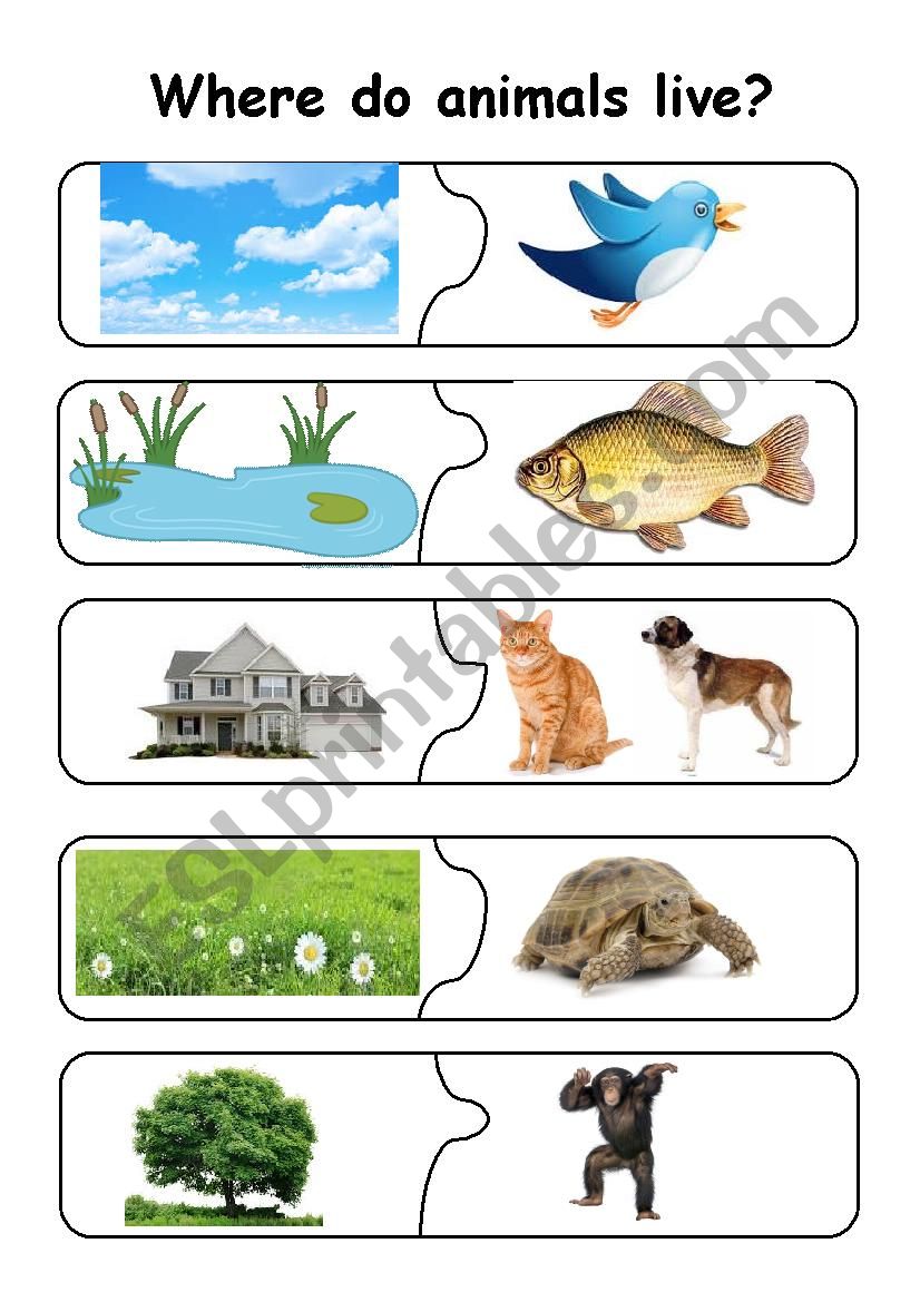 Animals - puzzle - ESL worksheet by szwedama