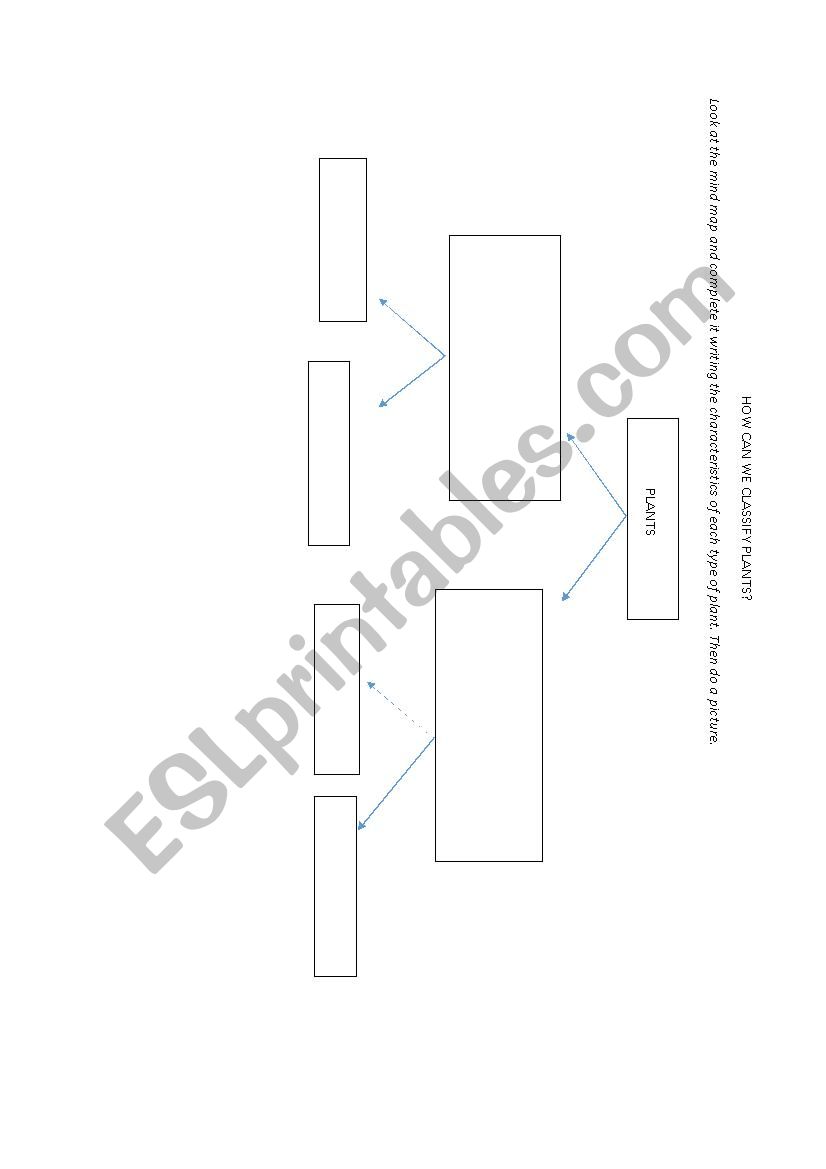 PLANTS CLASSIFICATION DIAGRAM worksheet