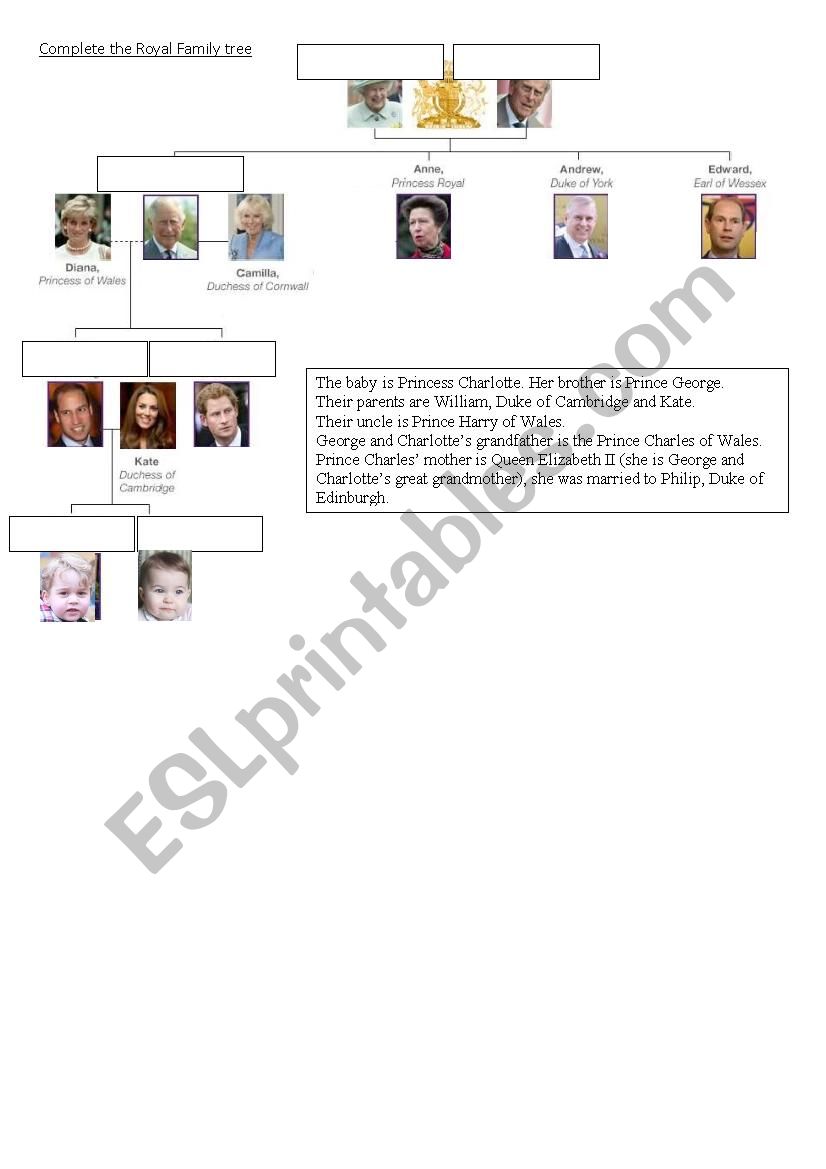Royal Family tree worksheet